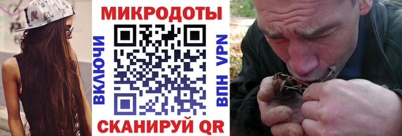 Галлюциногенные грибы Psilocybine cubensis Лысьва